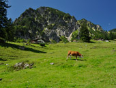 Chiemgauer Alpen